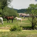Apartamento Zaži