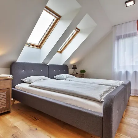 Apartment Zazi *