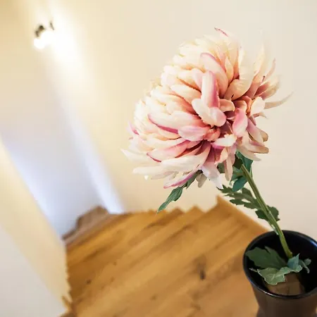 Zazi Mýto pod Ďumbierom