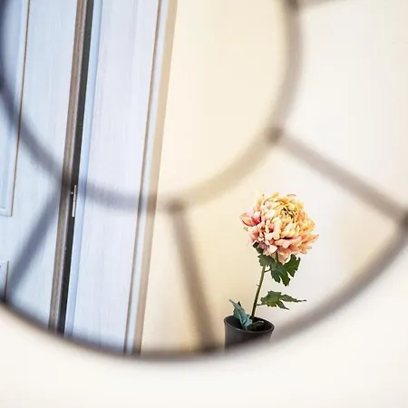 Zazi * Mýto pod Ďumbierom