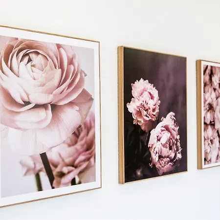 Zazi * Mýto pod Ďumbierom